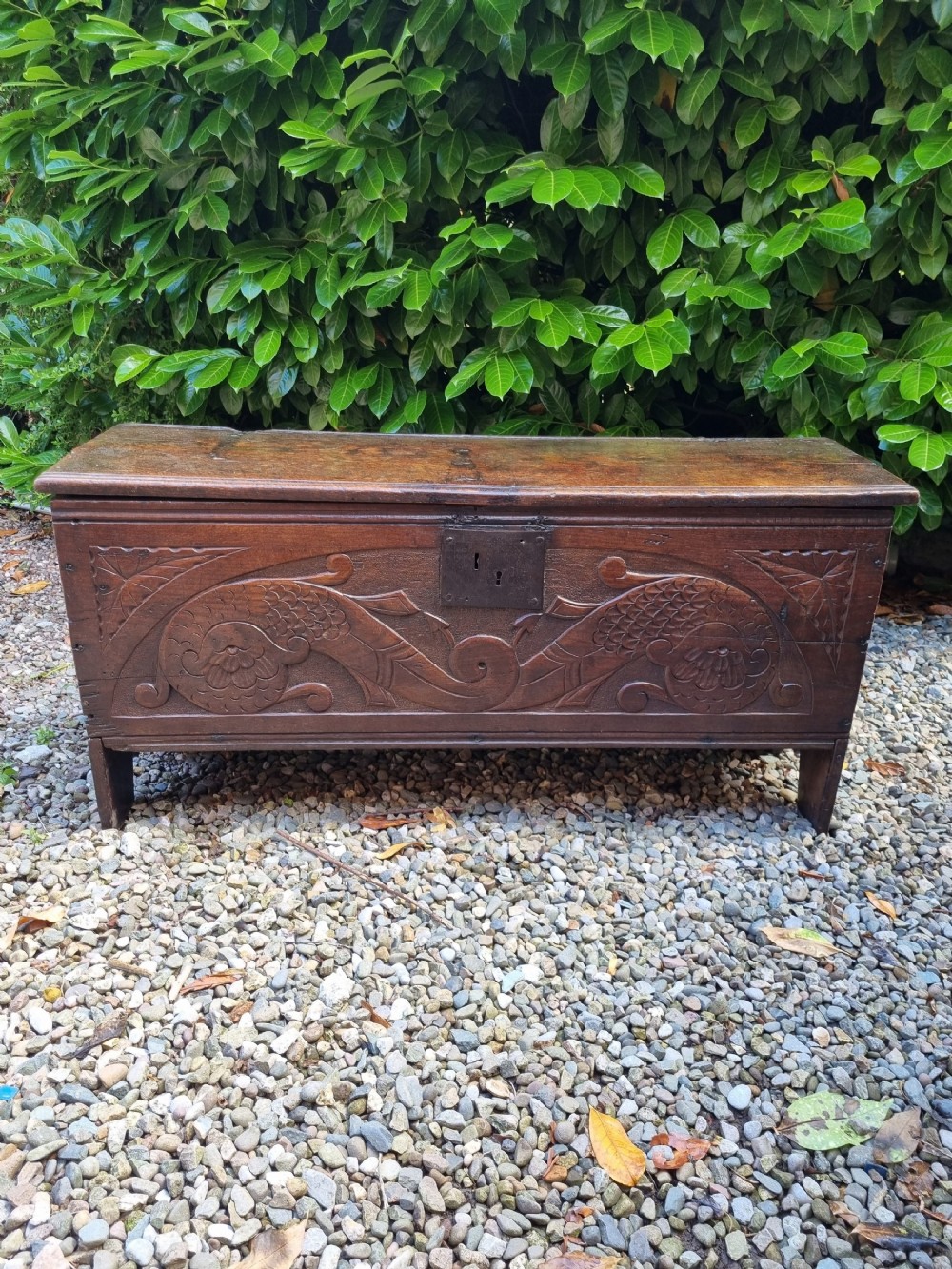 rare l17thc original carved oak west country coffer