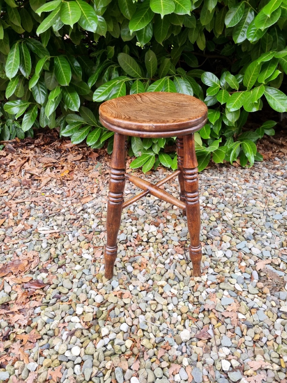 19th c wild elm tall stool