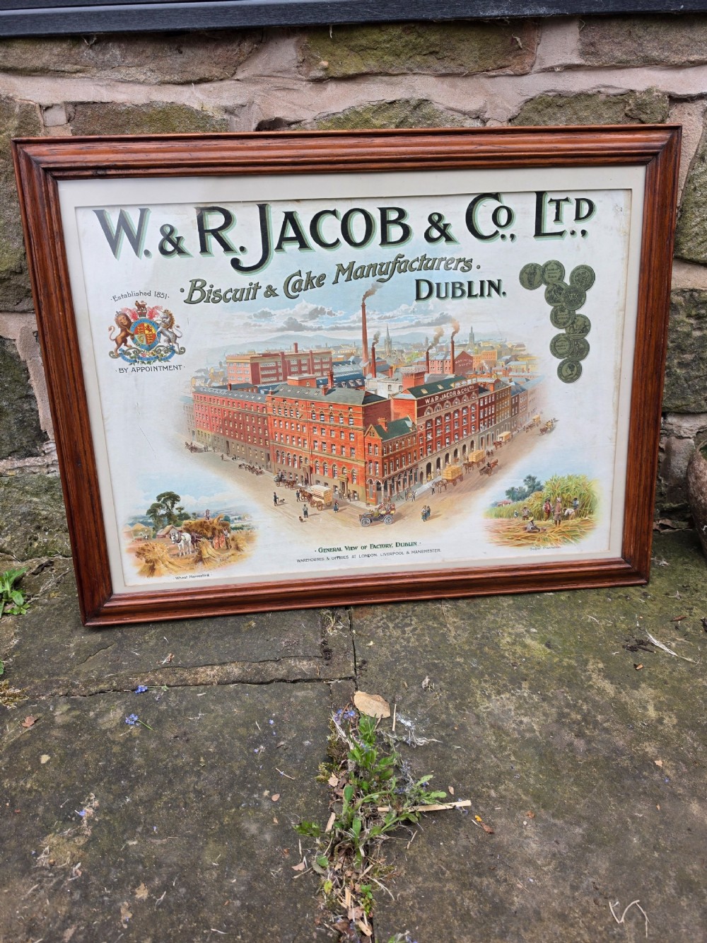advertising poster 19thc for vr jacobs and co dublin large