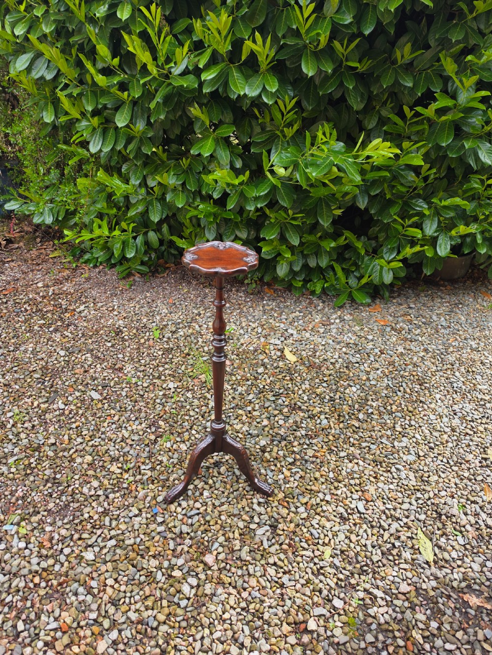 a good edwardian mahogany tall stand