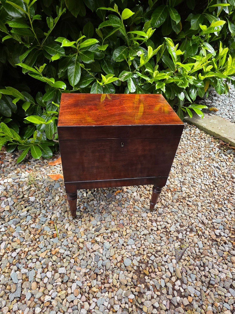 unusual georgian mahogany spirits cellaret